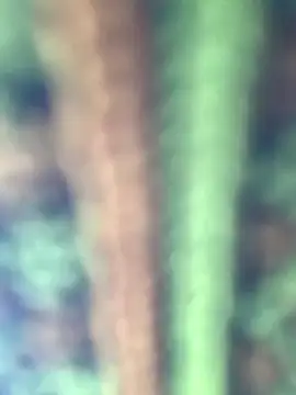 Snapshot of Halyy_xx chatting on 8, 1, 2026 Halyy xx online show from 8, 1, 2026