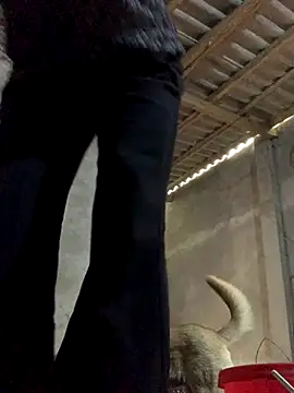 Snapshot of Halyy_xx chatting on 30, 10, 2025 Halyy xx online show from 30, 10, 2025