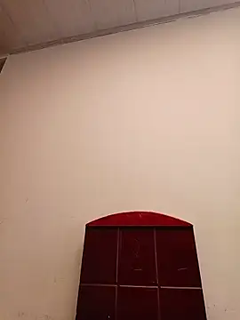 SALOME-28  online show from 11, 10, 2025