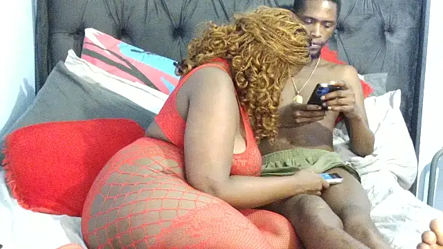 Dandelion enigman online show from 14, 2, 2026