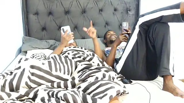 Dandelion enigman online show from 15, 1, 2026