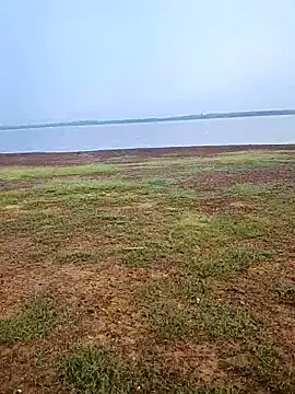 telugumodda4396 online show from 12, 10, 2025