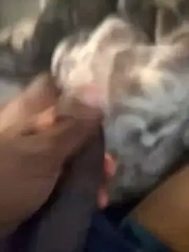 Blackveins32 online show from 4, 11, 2025