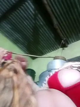 Haliya88 online show from 19, 12, 2025