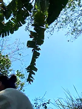 dorothyxx online show from 1, 12, 2025