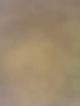 charlotteemerson123 online show from 29, 11, 2025