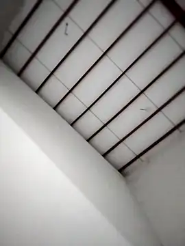 Yakpatiya7788 online show from 26, 10, 2025