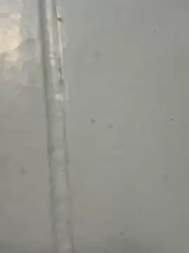 Foxy-lover online show from 13, 10, 2025