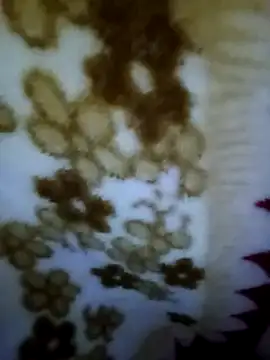 alone boy802 online show from 2, 11, 2025