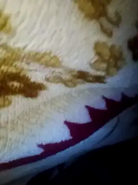 alone boy802 online show from 27, 11, 2025