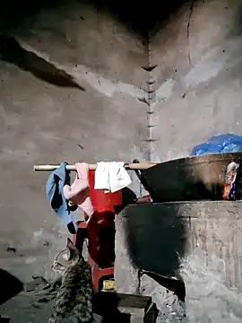 Snapshot of xuxulovezz chatting on 12, 2, 2026 xuxulovezz online show from 12, 2, 2026