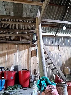 xuxulovezz online show from 4, 4, 2026