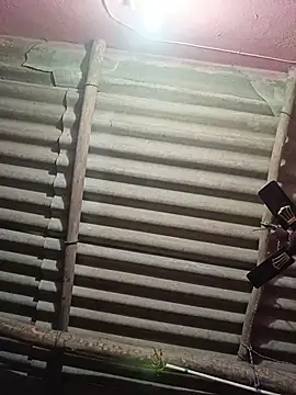 reya743 online show from 15, 11, 2025