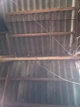 vtmbae online show from 2, 11, 2025