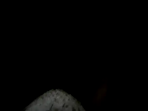 88heygirlhey88 online show from 22, 10, 2025