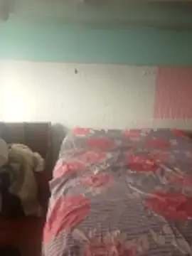 mylygrey online show from 11, 3, 2026