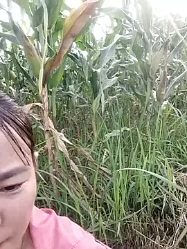 Snapshot of Meomeo-meo chatting on 29, 10, 2025 Meomeo-meo online show from 29, 10, 2025