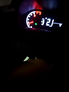 Gigolo31per31 online show from 9, 11, 2025