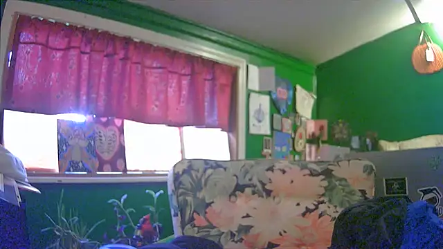 Snapshot of HippieDad333 chatting on 6, 6, 2026 HippieDad333 online show from 6, 6, 2026