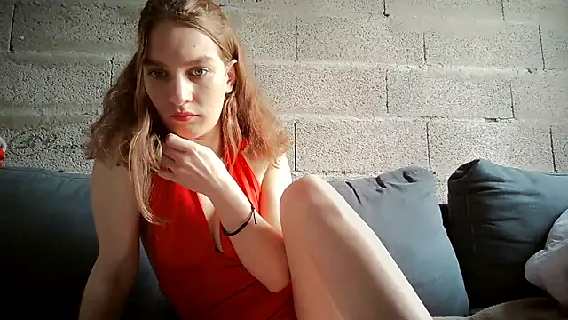 june cat online show from 24, 3, 2026