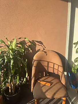 itsdanividarte online show from 11, 11, 2025