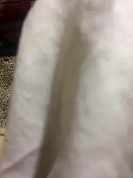 Yassesexy online show from 4, 10, 2025