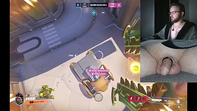 bear8t online show from 6, 11, 2025