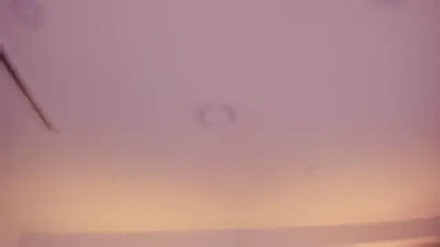 Violeta dh online show from 4, 4, 2026