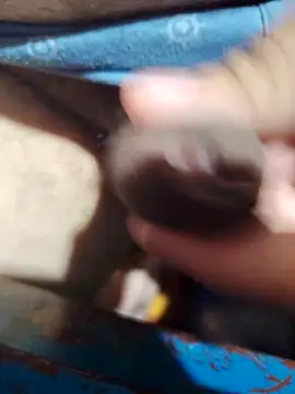 Sir clouden online show from 1, 10, 2025