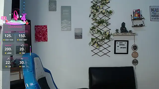 SkyWillow Oficial online show from 1, 10, 2025