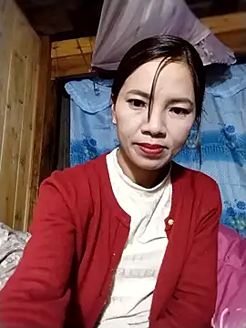 lmc-zz online show from 11, 1, 2026