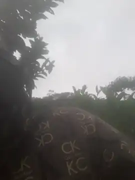 bree-zz online show from 13, 11, 2025