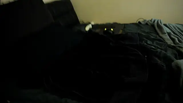 toolmaster2000 online show from 15, 1, 2026