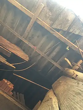 July sexy69 online show from 6, 4, 2026