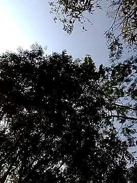 Rs sonam online show from 14, 2, 2026