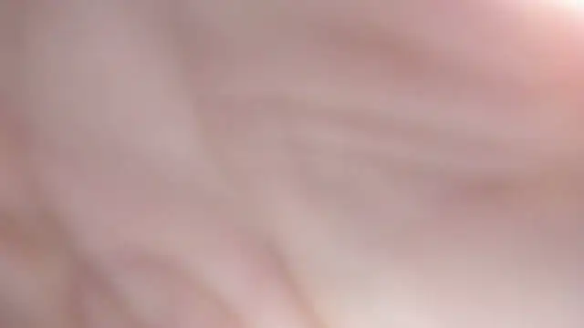 Snapshot of sackstor chatting on 17, 9, 2025 sackstor online show from 17, 9, 2025