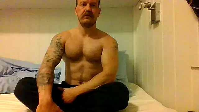 Real viking online show from 29, 9, 2025