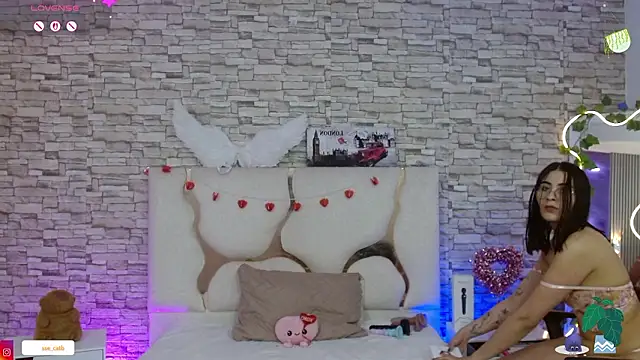 casse tay online show from 12, 2, 2026