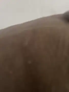 La piada online show from 29, 10, 2025