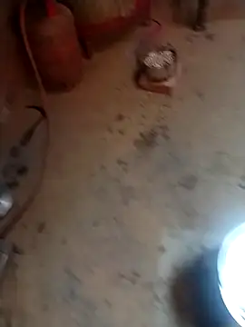 RED Queen 6 online show from 5, 3, 2026