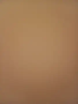 Sali ji online show from 21, 2, 2026