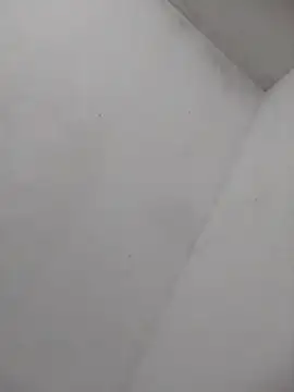 Snapshot of misteriosabb000 chatting on 2, 10, 2025 misteriosabb000 online show from 2, 10, 2025