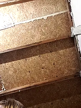 Queen2454 online show from 6, 3, 2026