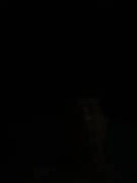 Play with ass online show from 28, 9, 2025