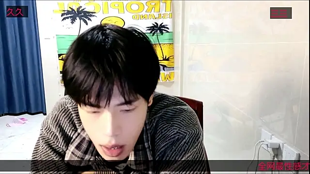 stripcha-798 online show from 15, 11, 2025