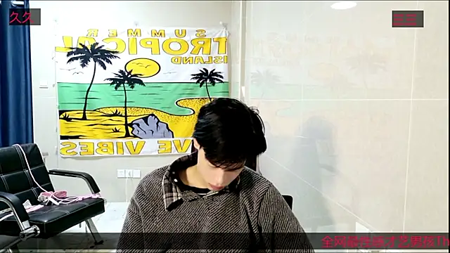 stripcha-798 online show from 11, 11, 2025