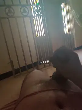 Hhhggghrrr3219 online show from 19, 4, 2026