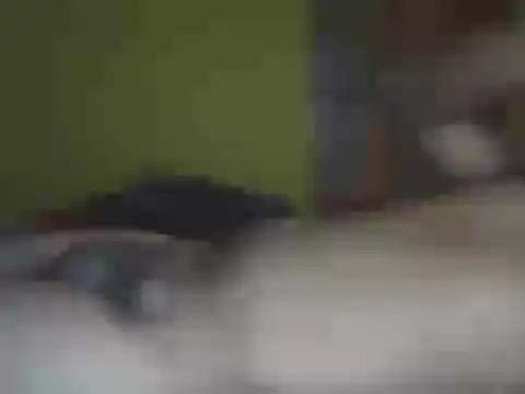 Hhhggghrrr3219 online show from 25, 3, 2026