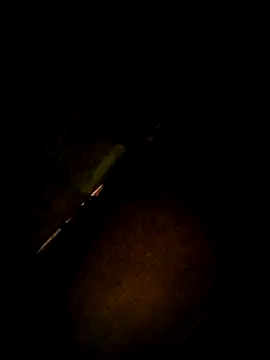 Apeesynka55211 online show from 14, 12, 2025