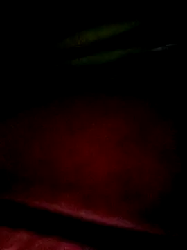 Apeesynka55211 online show from 18, 1, 2026